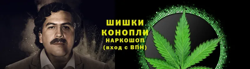 где купить наркоту  Верхняя Салда  mega ONION  Каннабис Bruce Banner 